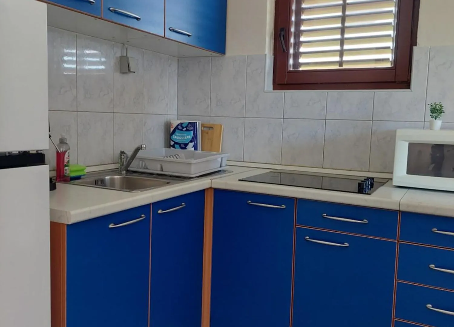 Apartments Miletic Zdrelac